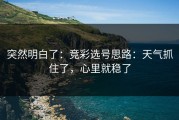 突然明白了：竞彩选号思路：天气抓住了，心里就稳了