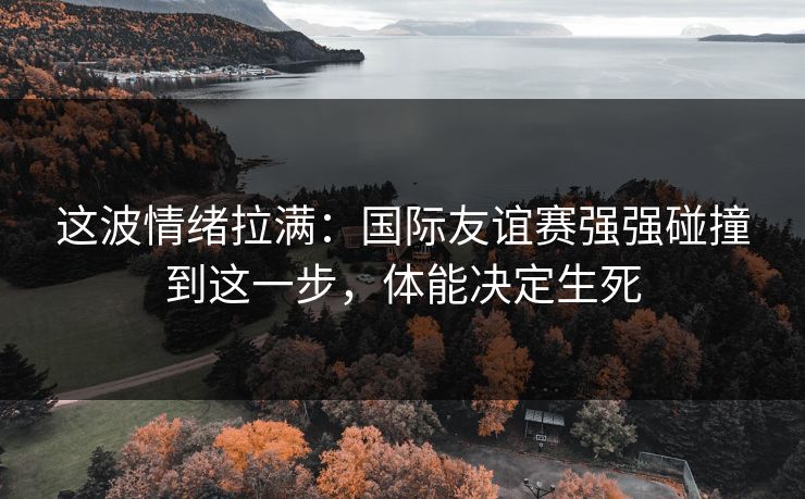 这波情绪拉满：国际友谊赛强强碰撞到这一步，体能决定生死