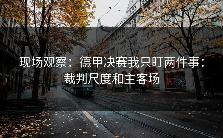 现场观察:德甲决赛我只盯两件事:裁判尺度和主客场 现场观察:德甲决赛我只盯两件事:裁判尺度和主客场