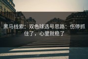 黑马线索：双色球选号思路：伤停抓住了，心里就稳了