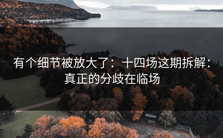 有个细节被放大了：十四场这期拆解：真正的分歧在临场